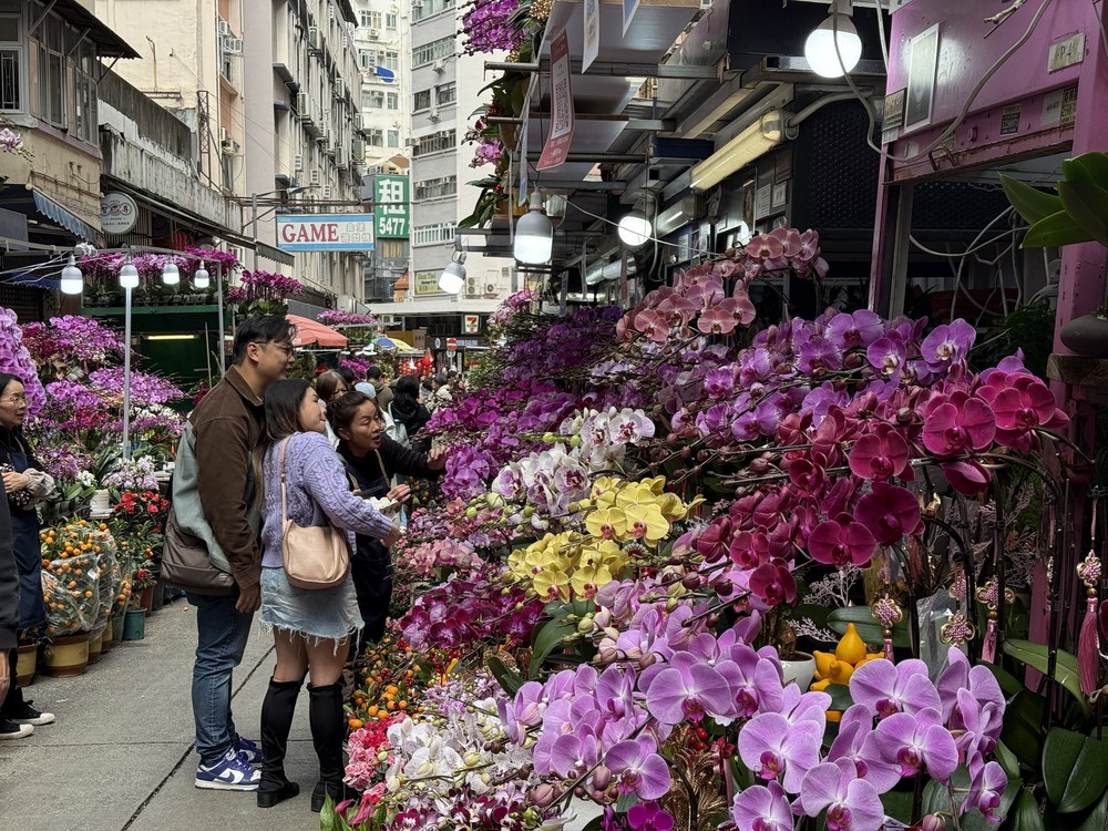 Thú chơi hoa lan ngày Tết của người dân Hong Kong (Trung Quốc) - Ảnh 4.