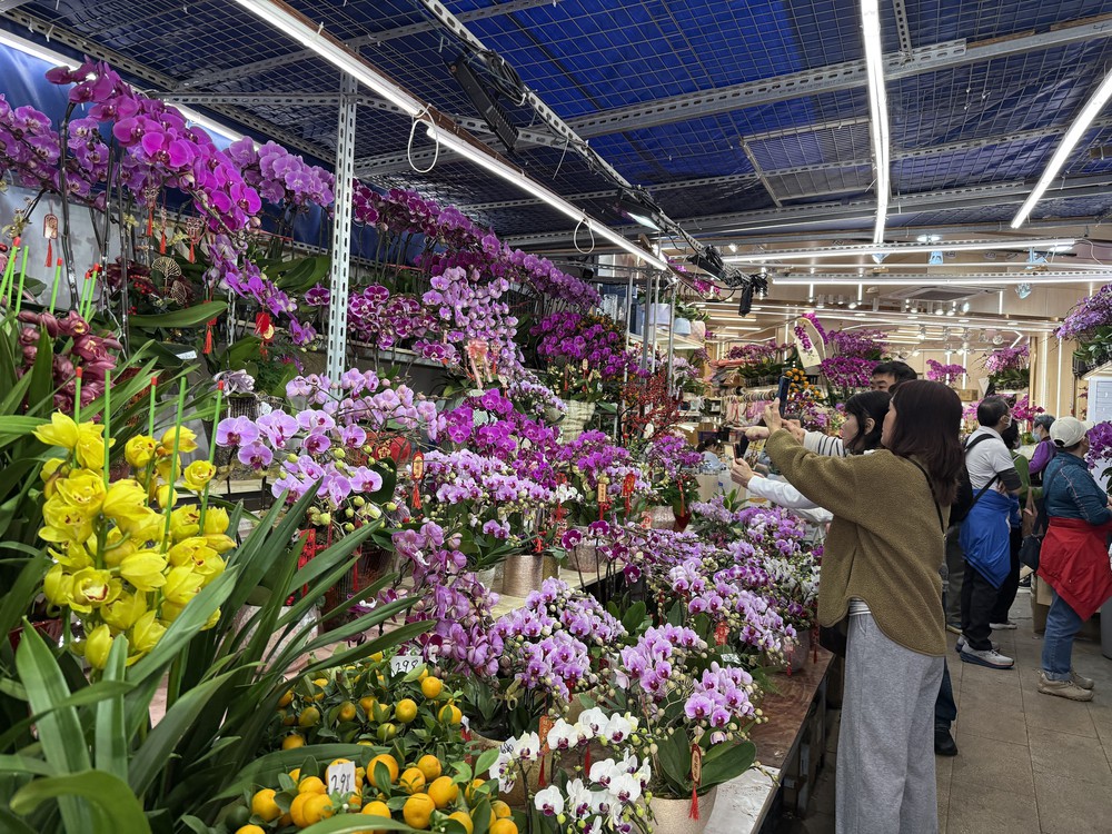 Thú chơi hoa lan ngày Tết của người dân Hong Kong (Trung Quốc) - Ảnh 3.
