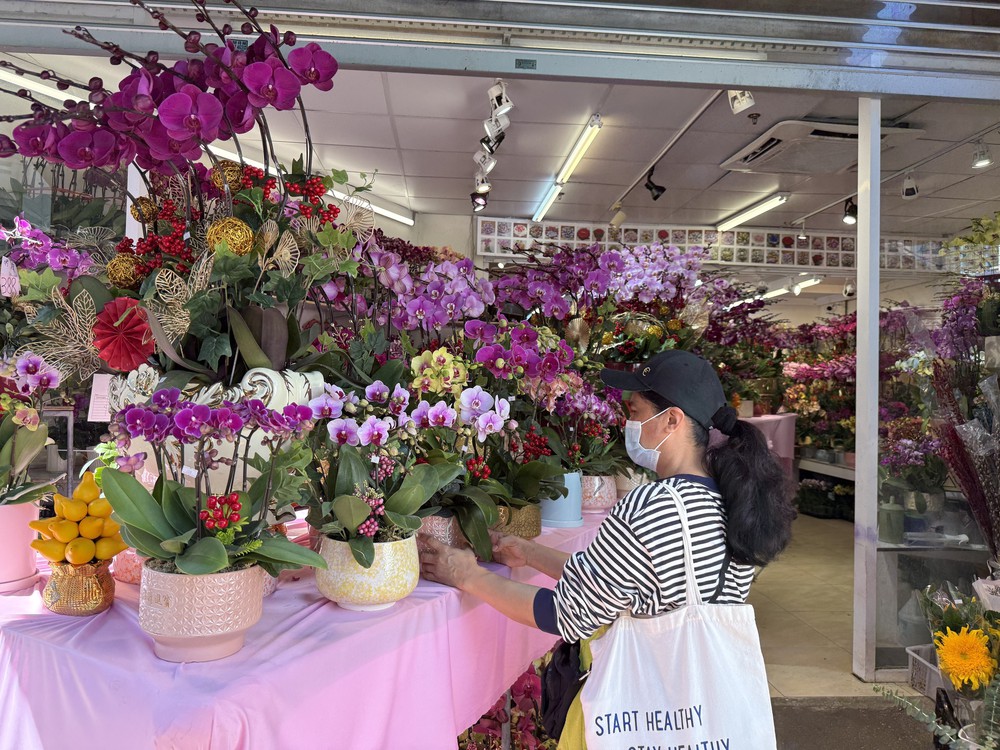 Thú chơi hoa lan ngày Tết của người dân Hong Kong (Trung Quốc) - Ảnh 2.