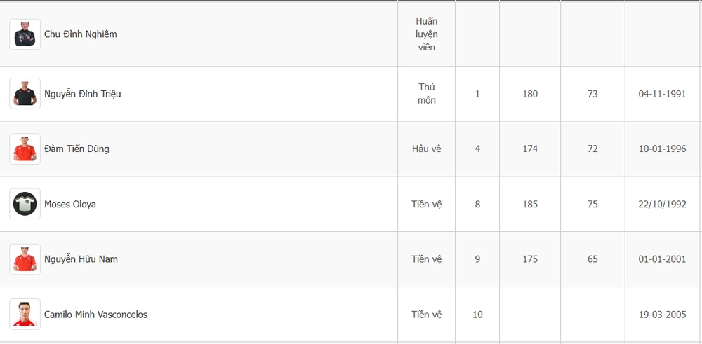 Cầu thủ Việt kiều