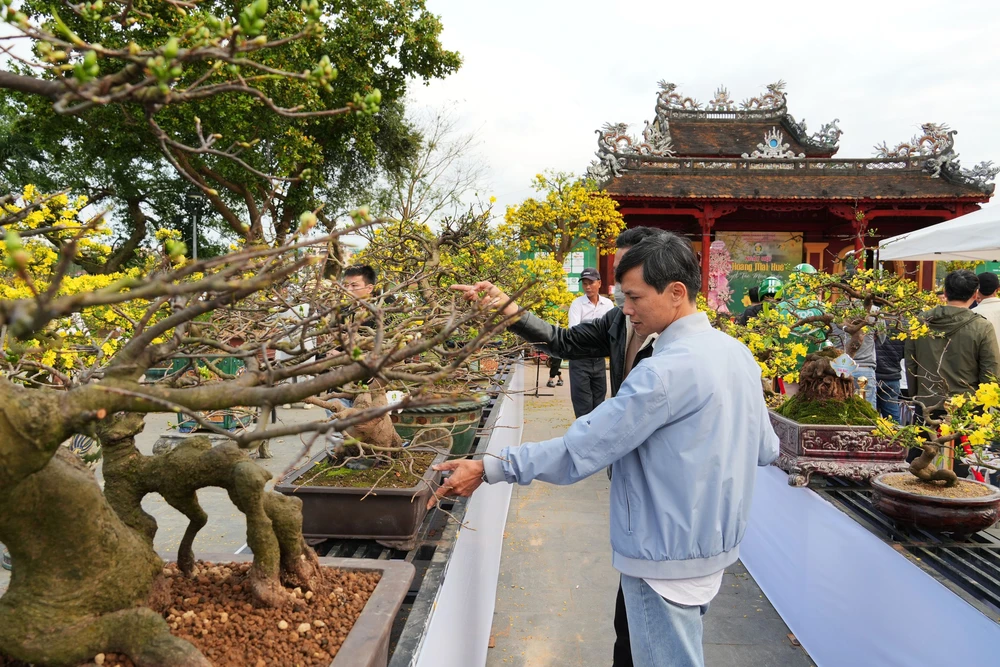 Ngày hội Hoàng mai thành phố Huế hút khách trong ngày khai mạc - Ảnh 3.