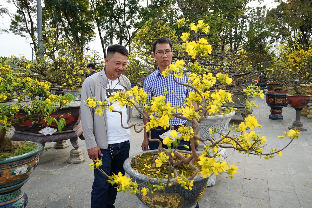 Ngày hội Hoàng mai thành phố Huế hút khách trong ngày khai mạc - Ảnh 1.