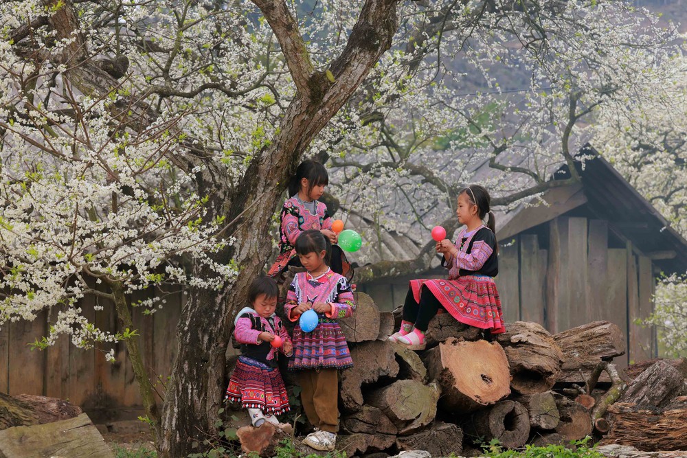 Báo Xuân - Tết cung đình, sông nước và mây ngàn - Ảnh 4. Báo Xuân - Tết cung đình, sông nước và mây ngàn - Ảnh 4.