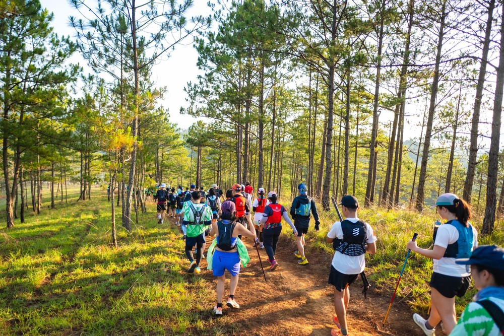 Dalat Ultra Trail 2026 bắt tay Kailas FUGA, nâng chuẩn trải nghiệm chạy địa hình - Ảnh 1.