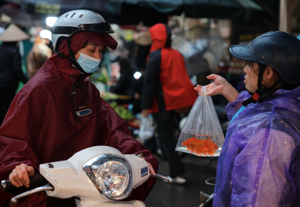 Người dân Hà Nội đội mưa rét đi chợ sớm sắm lễ cúng ông Công, ông Táo - Ảnh 16.