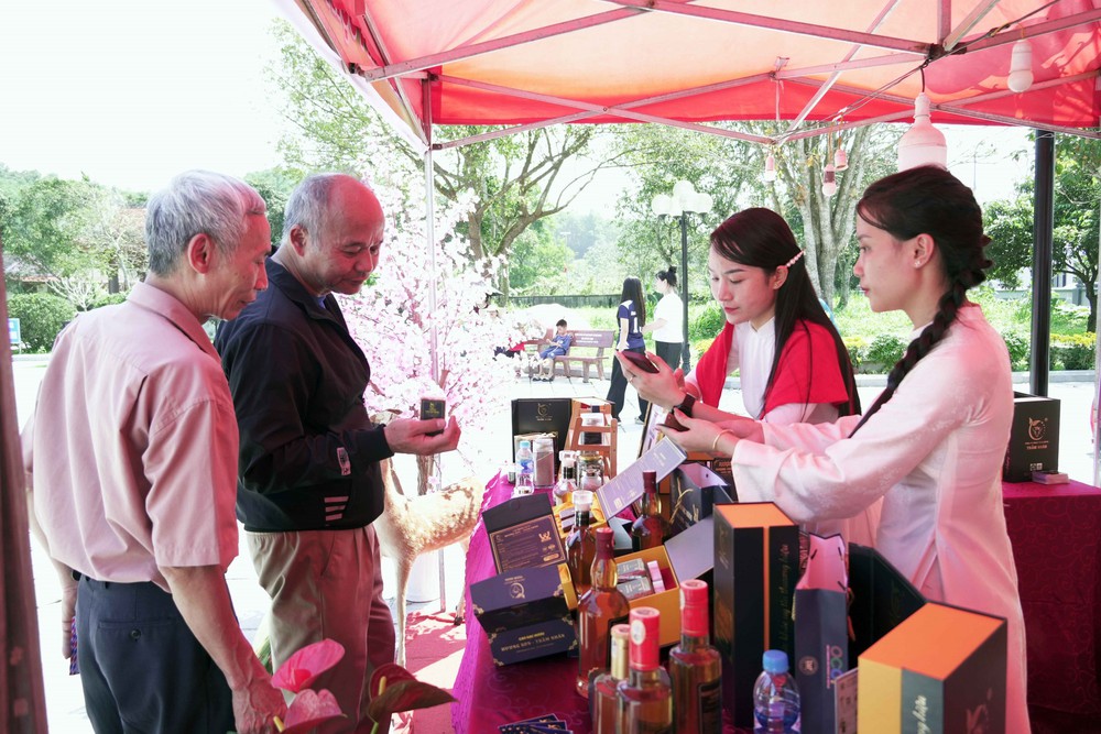 Lễ hội Hải Thượng Lãn Ông 2026: Lan tỏa di sản y đức - Ảnh 4.