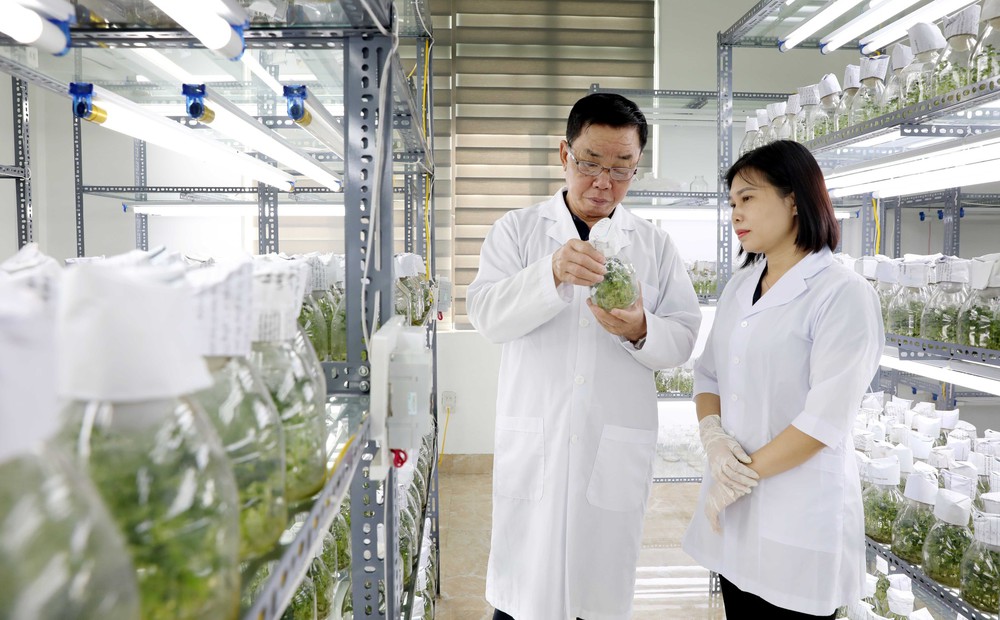 Đột phá theo Nghị quyết 57: Lấy sản phẩm làm thước đo đột phá phát triển - Ảnh 1.