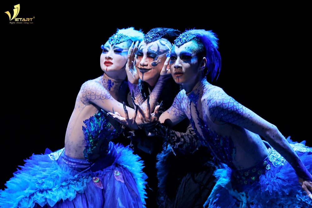 Khổng tước - Ảnh 5.