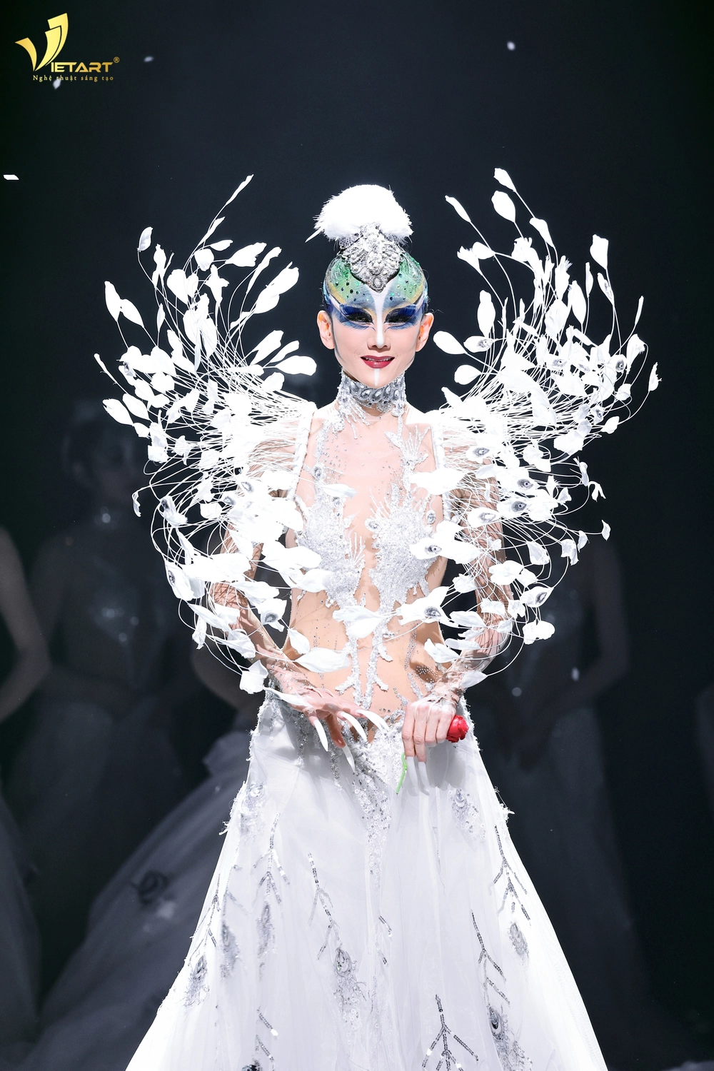 Khổng tước - Ảnh 1.