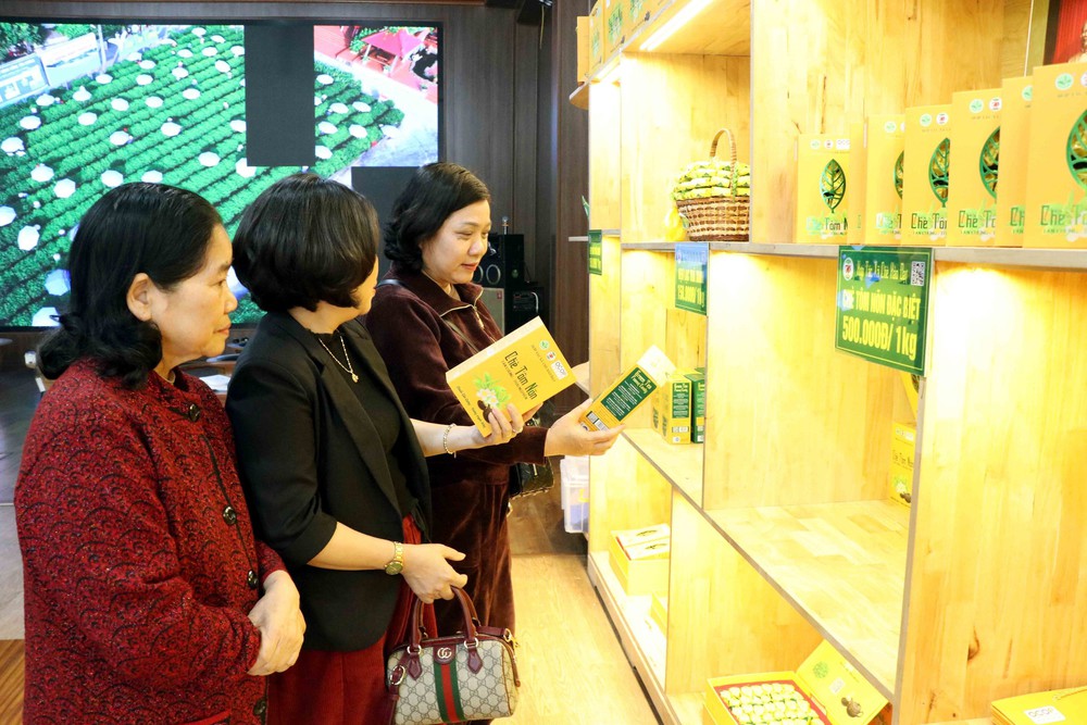 Nâng tầm thương hiệu chè Thái Nguyên gắn với du lịch và văn hóa trà - Ảnh 1.