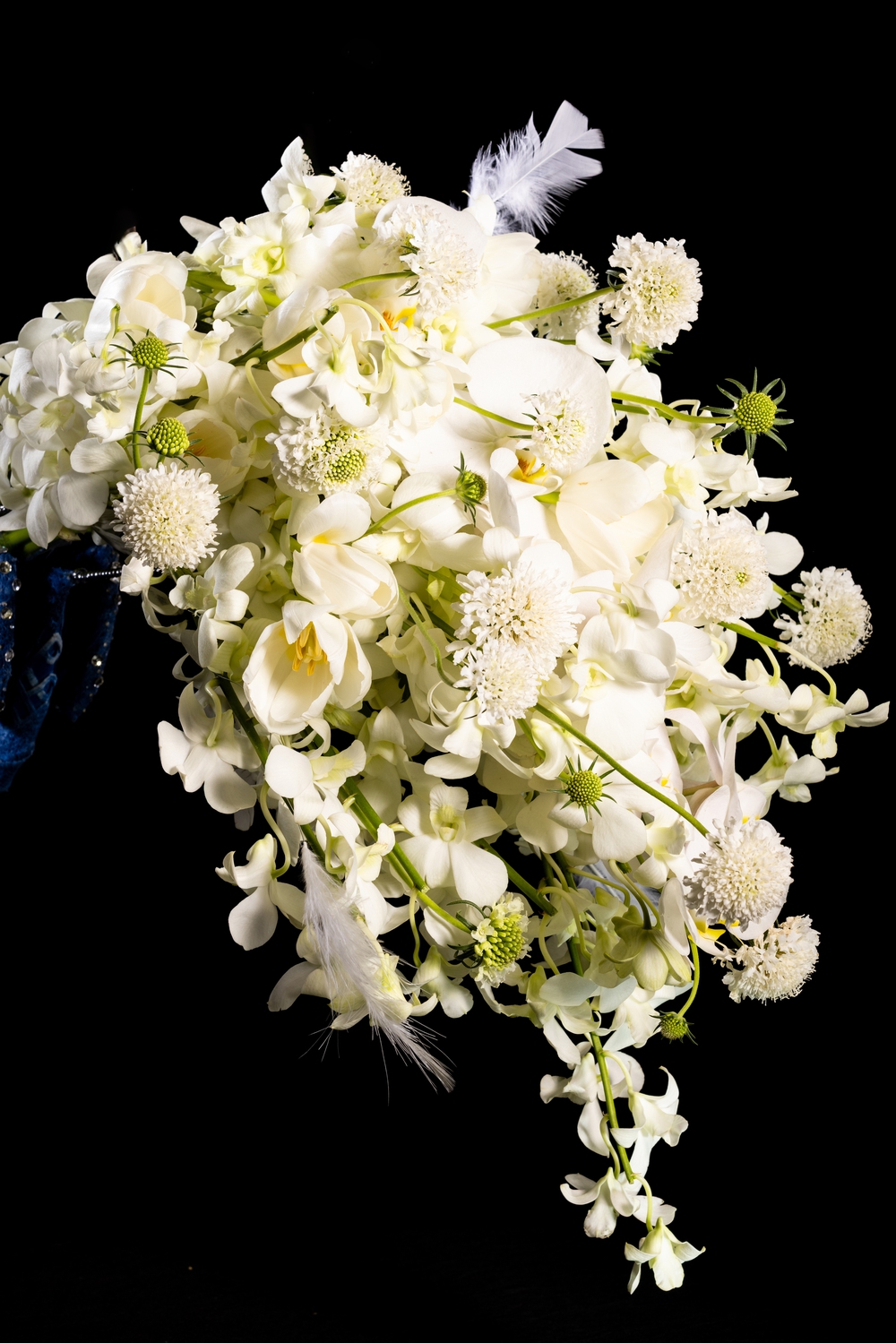 Công bố vương miện, hoa đăng quang Miss World Vietnam 2025 - Ảnh 7.