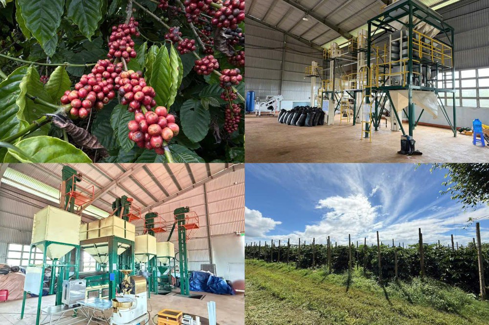 ViRFQ giúp nông dân, doanh nghiệp nhỏ xuất khẩu nông sản không qua trung gian - Ảnh 3.