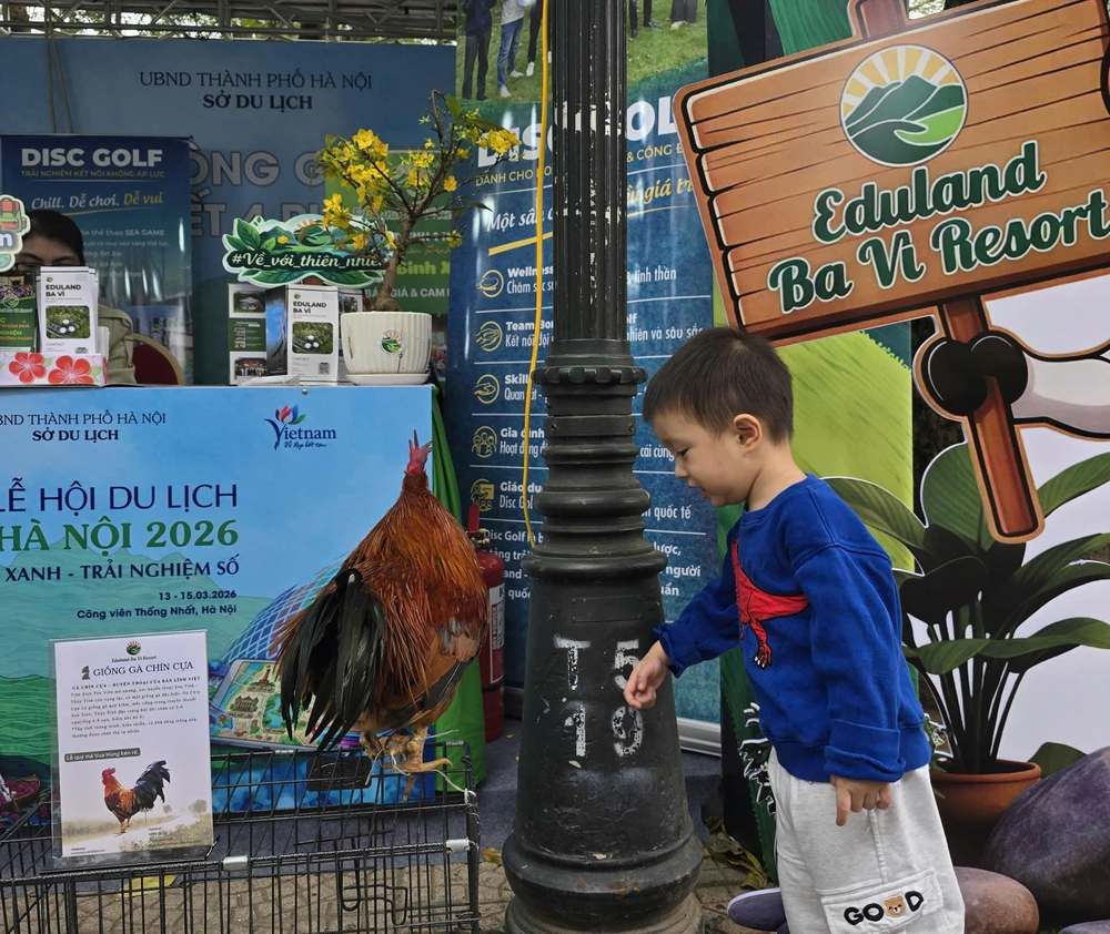 Công chúng và du khách khám phá Lễ hội Du lịch Hà Nội 2026 - Ảnh 1.