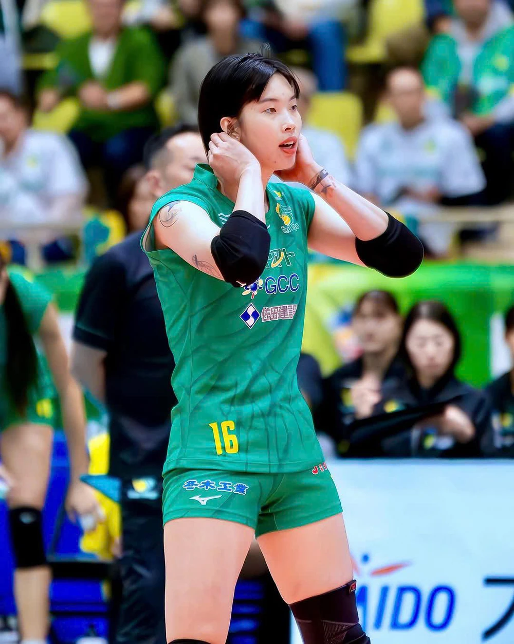Trần Thị Thanh Thúy duy trì phong độ ấn tượng, tràn trề cơ hội vào vòng đấu quan trọng ở giải bóng chuyền Nhật Bản - Ảnh 1.