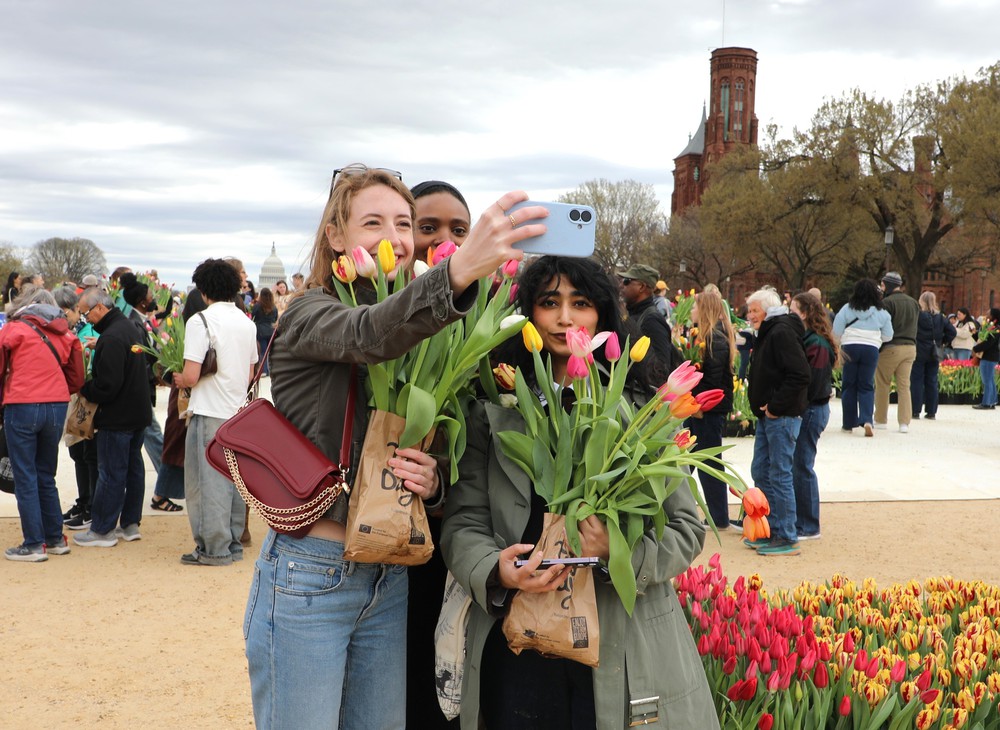 Mỹ: Washington DC rực rỡ Ngày hội hoa Tulip - Ảnh 2.