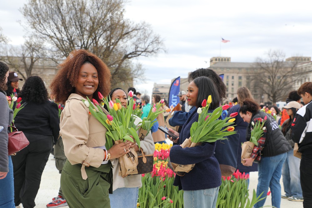 Mỹ: Washington DC rực rỡ Ngày hội hoa Tulip - Ảnh 1.