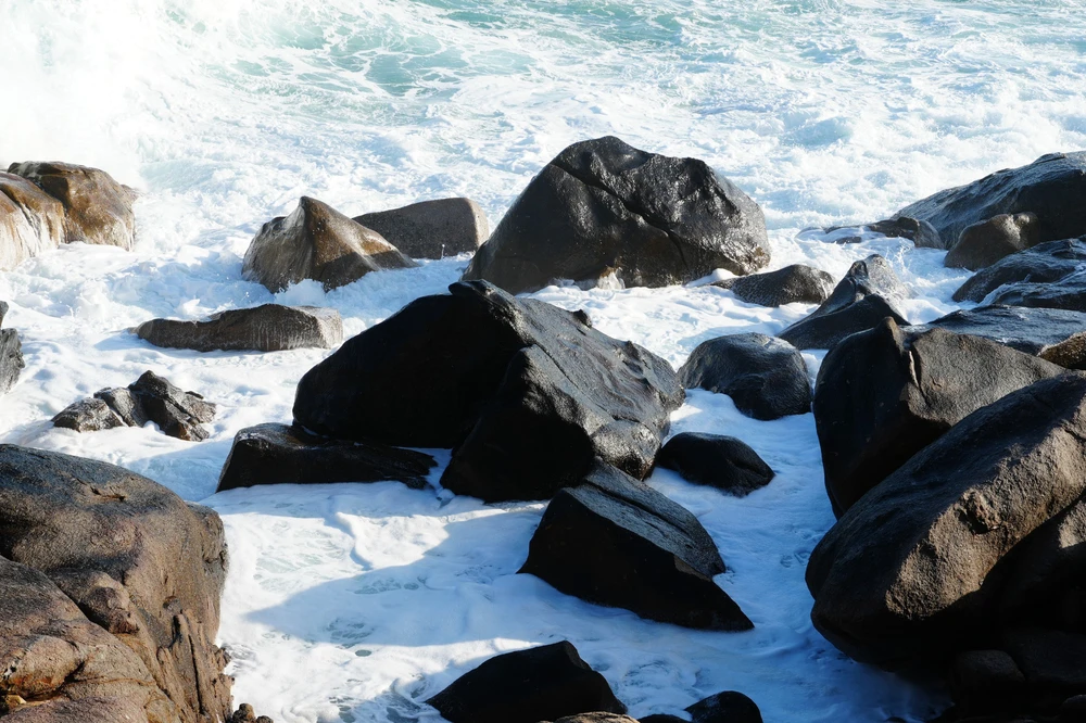 Những điểm hấp dẫn tại Hang Rái - Vườn quốc gia Núi Chúa - Ảnh 5. Những điểm hấp dẫn tại Hang Rái - Vườn quốc gia Núi Chúa - Ảnh 5.