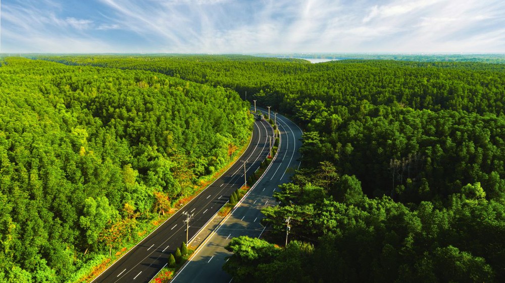 Vinhomes Green Paradise: Từ đường chạy 5.000 người đến tâm điểm sự kiện - du lịch mới của TP.HCM - Ảnh 1.