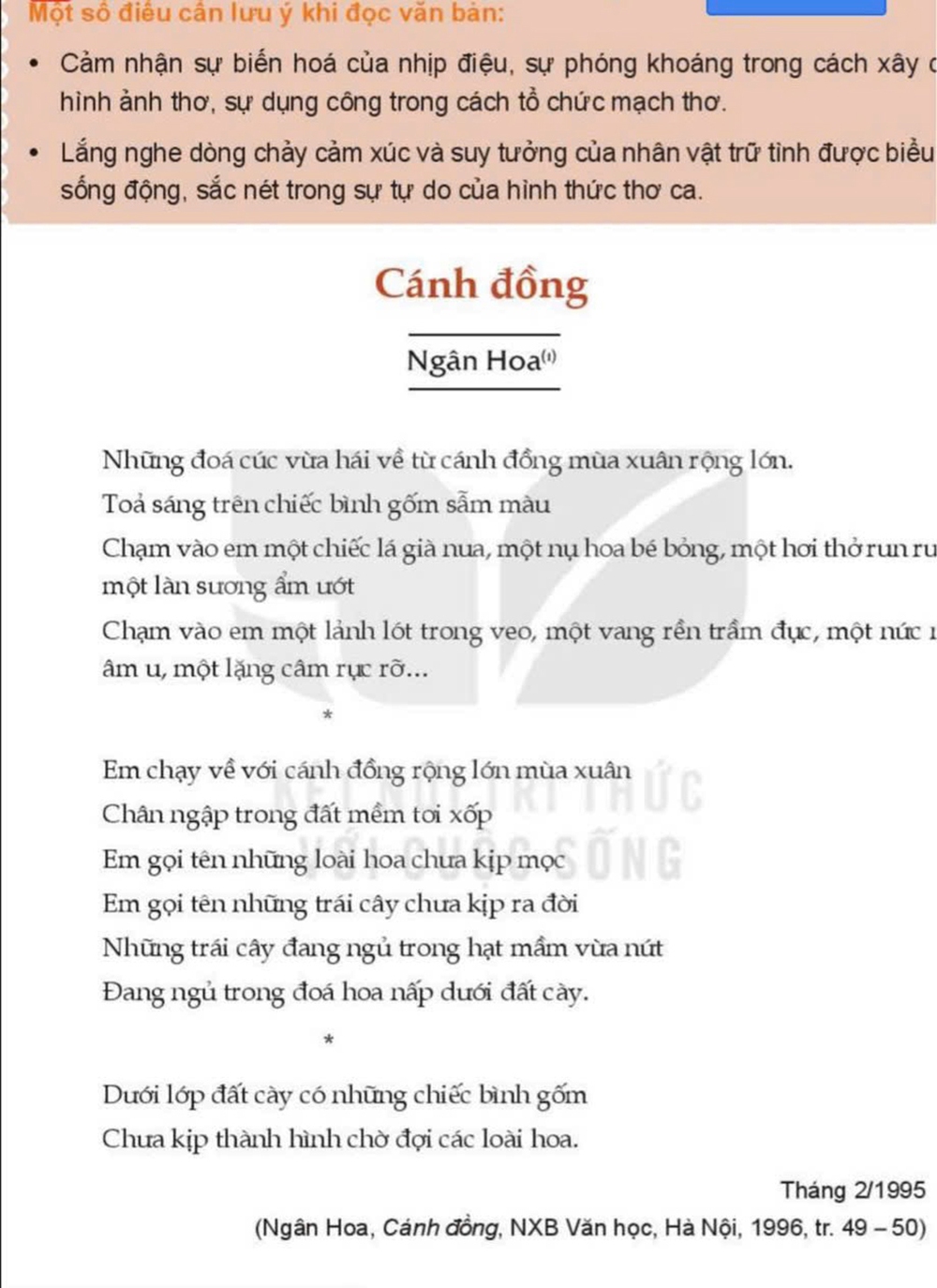 Nhà giáo Nguyễn Thị Ngân Hoa: Cảm hứng thơ từ những cánh đồng - Ảnh 3.