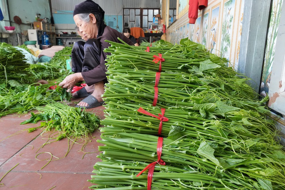  Phát triển su su Tam Đảo thành nông sản thế mạnh - Ảnh 4.