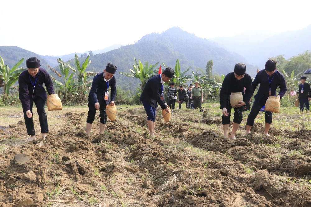 Lễ hội Lồng Tồng - nét văn hóa đặc sắc của người Tày vùng cao Lào Cai - Ảnh 7.