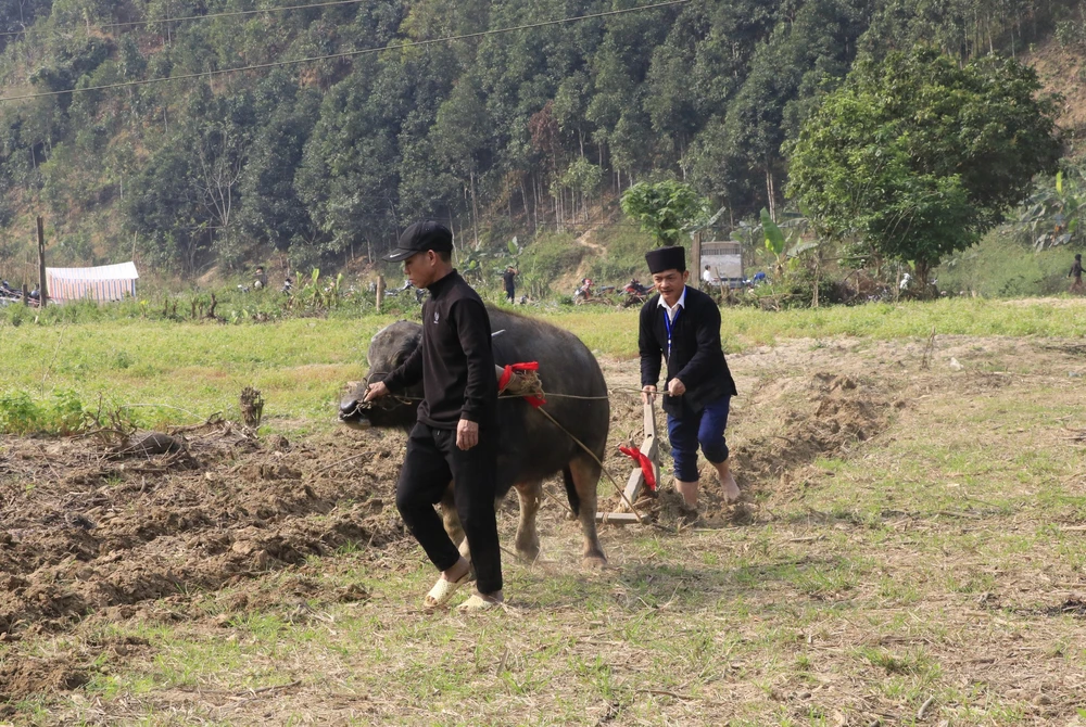Lễ hội Lồng Tồng - nét văn hóa đặc sắc của người Tày vùng cao Lào Cai - Ảnh 6.