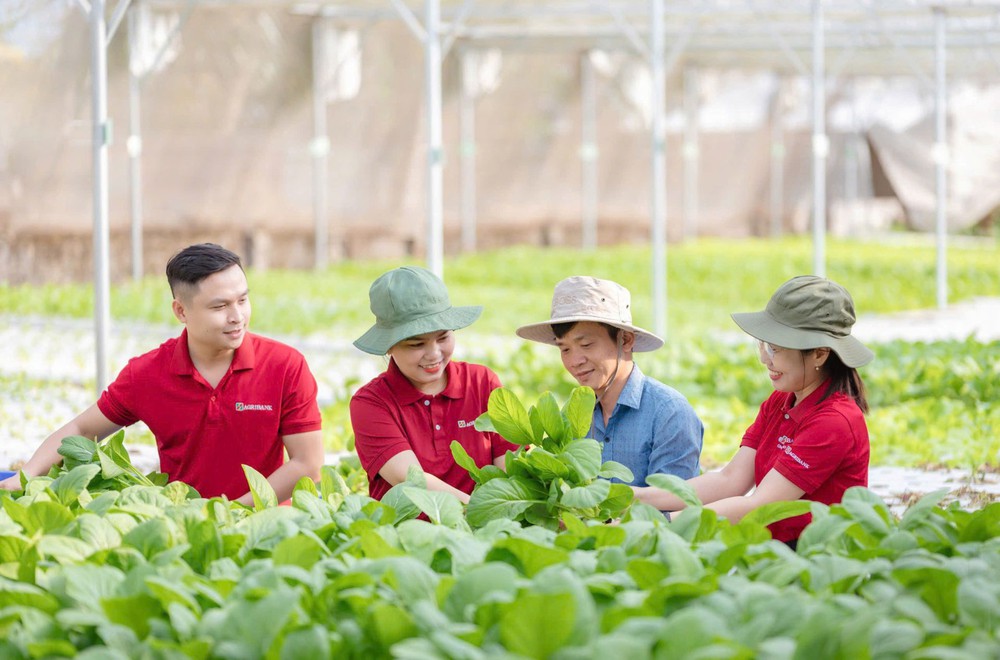 Agribank phát động Chiến dịch "Phụng sự từ trái tim" - Lan tỏa giá trị văn hóa, kiến tạo sức mạnh nội sinh cho phát triển bền vững - Ảnh 2. Agribank phát động Chiến dịch "Phụng sự từ trái tim" - Lan tỏa giá trị văn hóa, kiến tạo sức mạnh nội sinh cho phát triển bền vững - Ảnh 2.
