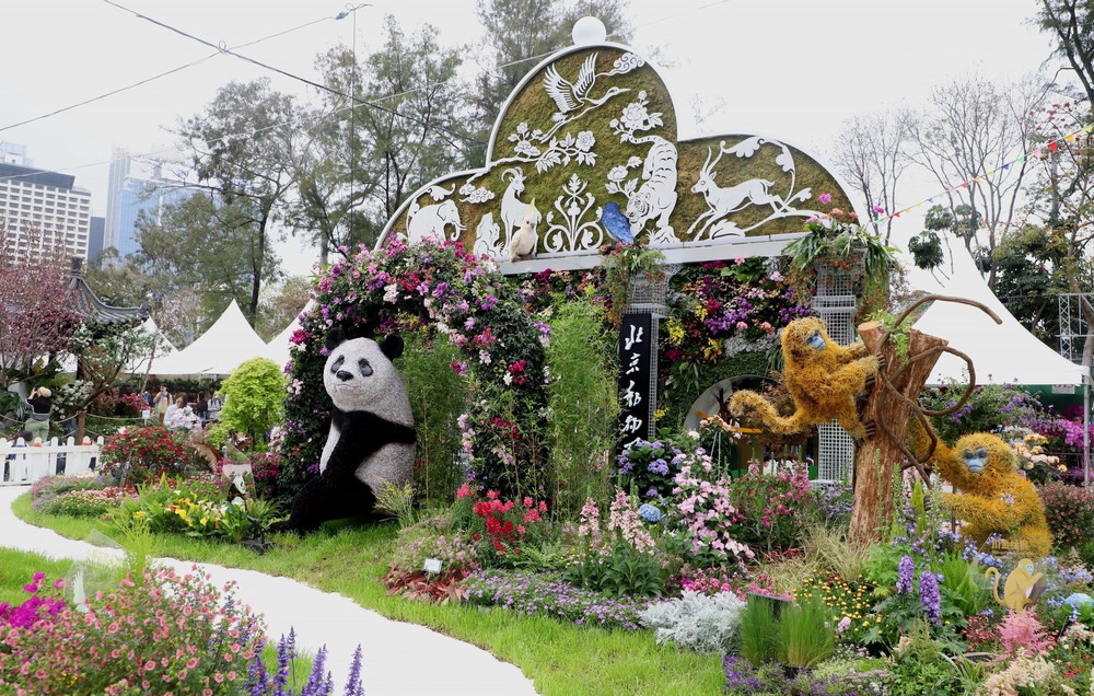  Ấn tượng triển lãm hoa tại Hong Kong (Trung Quốc) - Ảnh 5.