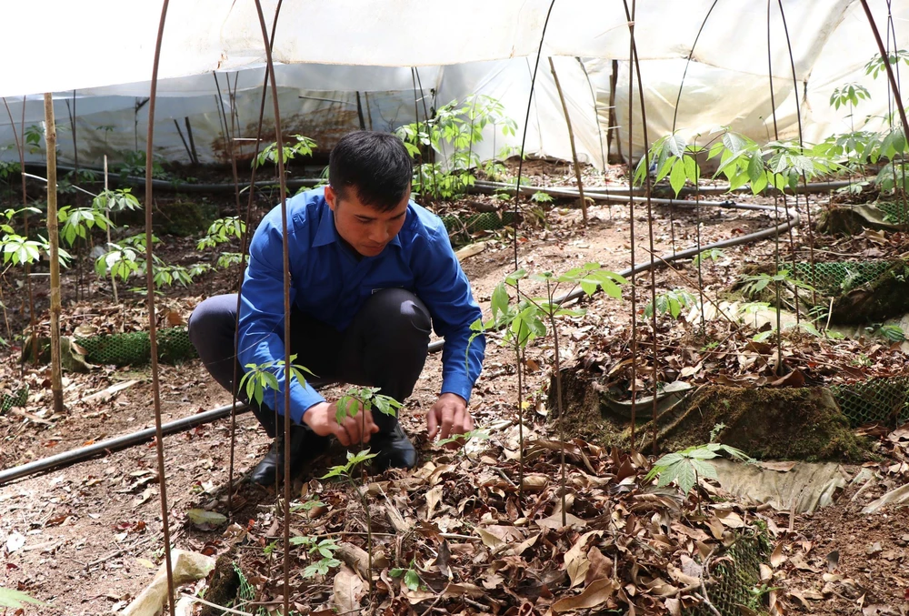 95 năm Ngày thành lập Đoàn Thanh niên Cộng sản Hồ Chí Minh: "Đâu cần thanh niên có, đâu khó có thanh niên" - Ảnh 6.
