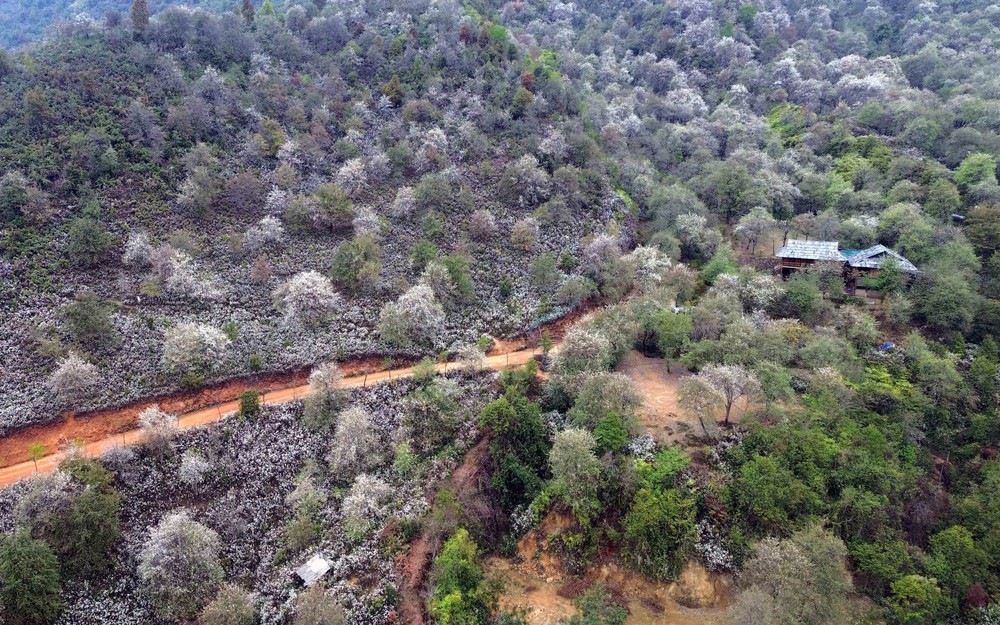 Sôi nổi Ngày hội hoa sơn tra xã Ngọc Chiến (Sơn La) - Ảnh 7. Sôi nổi Ngày hội hoa sơn tra xã Ngọc Chiến (Sơn La) - Ảnh 7.