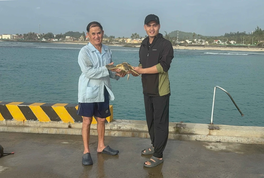 Tập huấn công tác bảo tồn hệ sinh thái biển cho giáo viên đặc khu Lý Sơn - Ảnh 8.