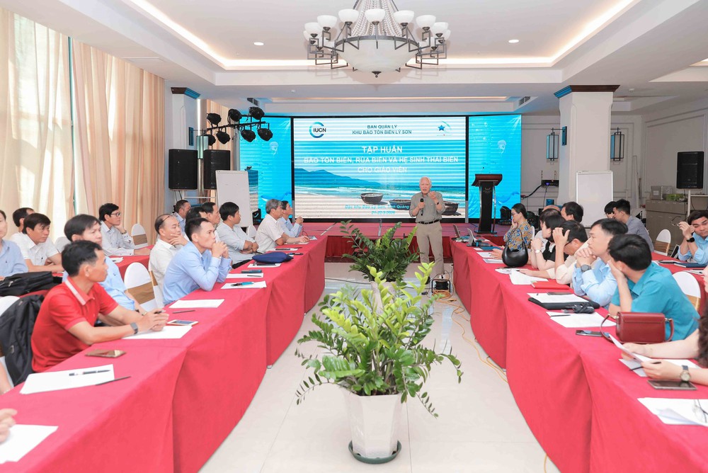 Tập huấn công tác bảo tồn hệ sinh thái biển cho giáo viên đặc khu Lý Sơn - Ảnh 1.