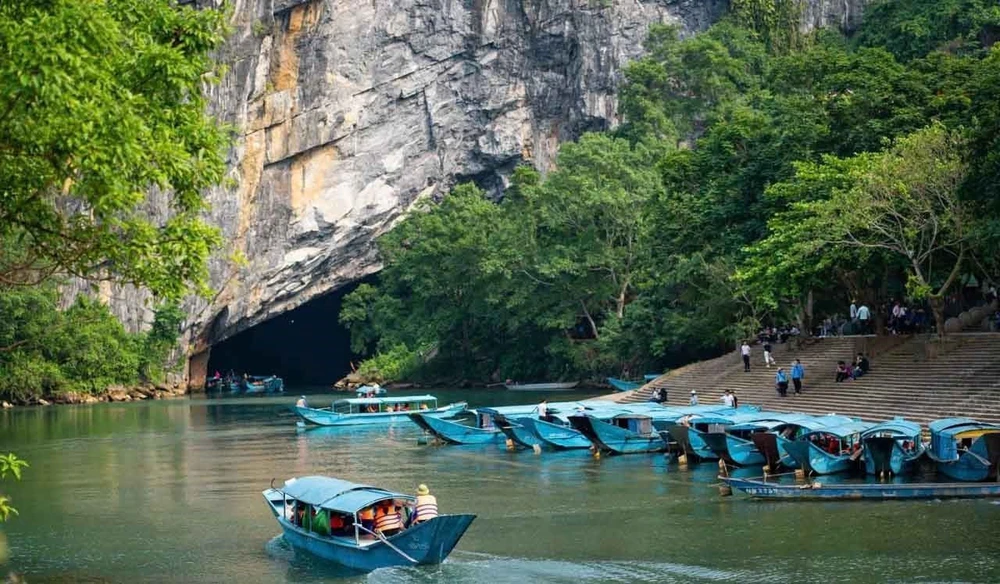 Kho báu sinh học chưa được khám phá giữa đại ngàn Trường Sơn - Ảnh 4.