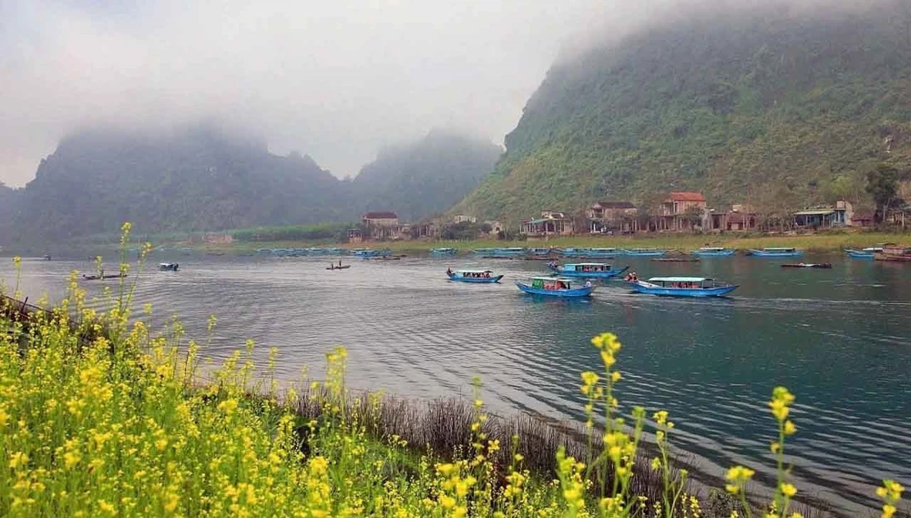 Kho báu sinh học chưa được khám phá giữa đại ngàn Trường Sơn - Ảnh 2.