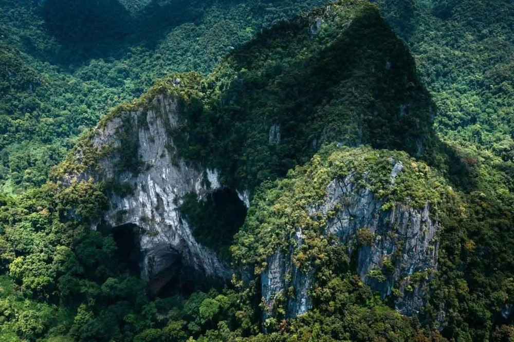 Kho báu sinh học chưa được khám phá giữa đại ngàn Trường Sơn - Ảnh 1.