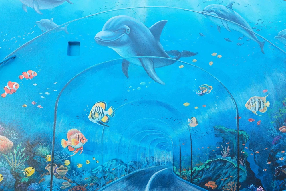 Sắc màu mới trên đảo An Bình: Hài hòa giữa phát triển du lịch và bảo tồn biển - Ảnh 4.