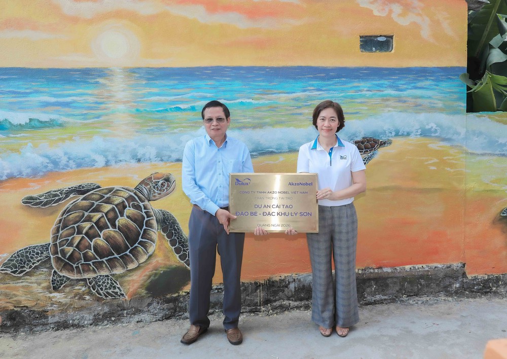 Sắc màu mới trên đảo An Bình: Hài hòa giữa phát triển du lịch và bảo tồn biển - Ảnh 2.