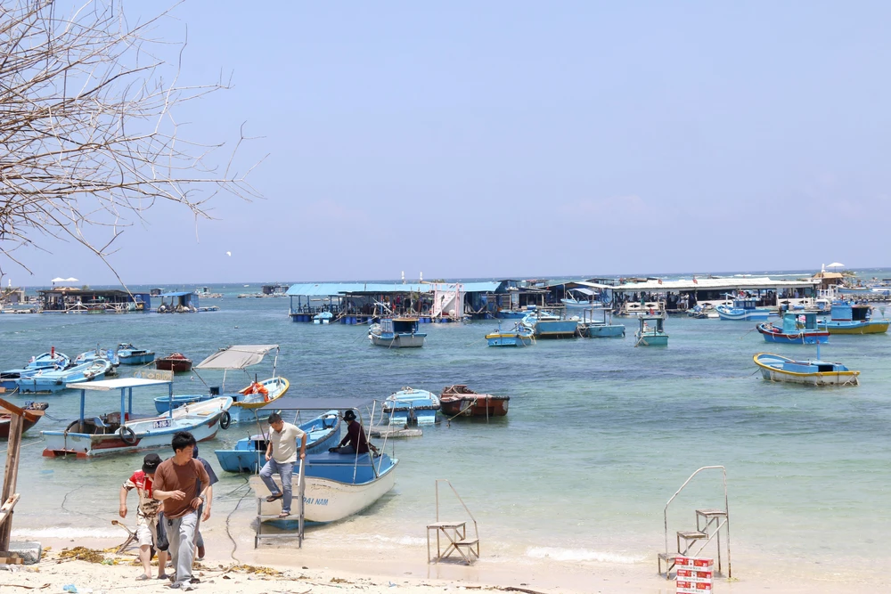 Kết nối sản phẩm du lịch giữa đất liền với đặc khu Phú Quý - Ảnh 6. Kết nối sản phẩm du lịch giữa đất liền với đặc khu Phú Quý - Ảnh 6.