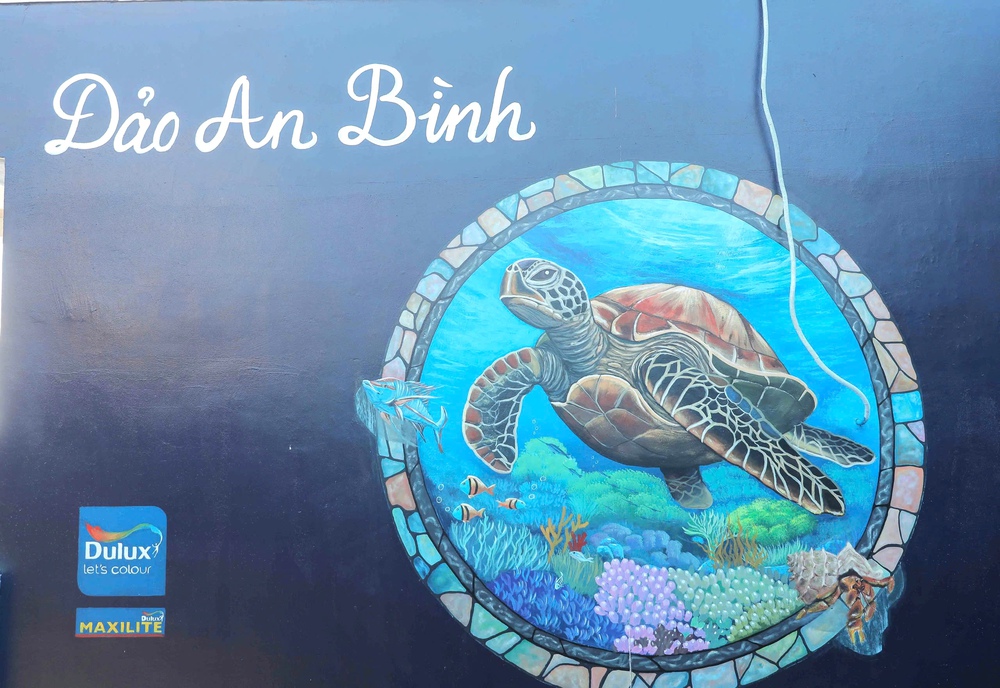 Bảo tồn hệ sinh thái biển tại đặc khu đảo Lý Sơn thông qua sáng kiến Let's Colour - Ảnh 2.