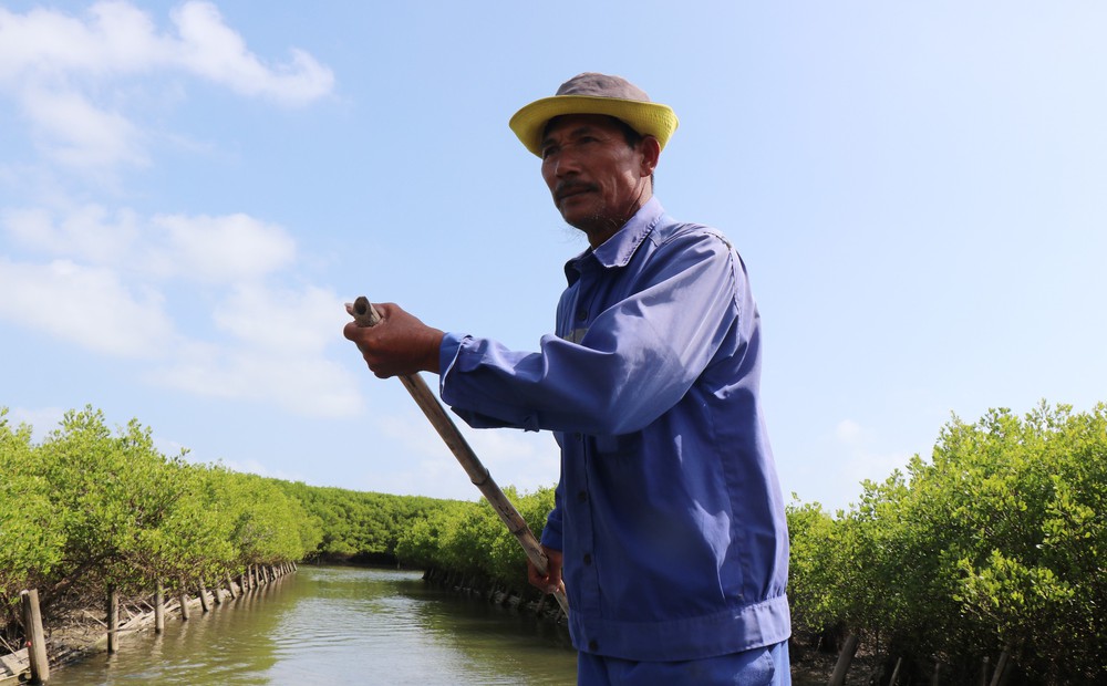 Quảng Ngãi: Rừng ngập mặn Bàu Cá Cái - “lá phổi xanh” hoang sơ hấp dẫn - Ảnh 12.