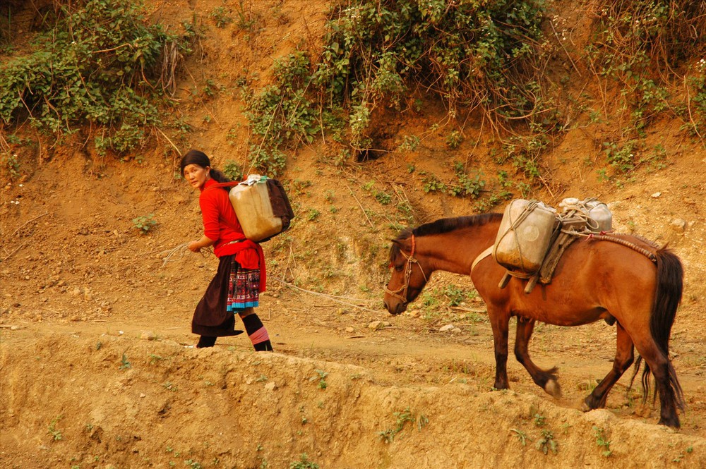 Ngẫm ngợi cuối tuần: Ngựa thồ miền núi - Ảnh 1. Ngẫm ngợi cuối tuần: Ngựa thồ miền núi - Ảnh 1.