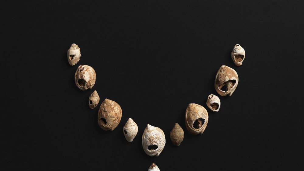 Trang sức 12.000 năm tuổi hé lộ “ngôn ngữ chung” của người tiền sử - Ảnh 1. Trang sức 12.000 năm tuổi hé lộ “ngôn ngữ chung” của người tiền sử - Ảnh 1.