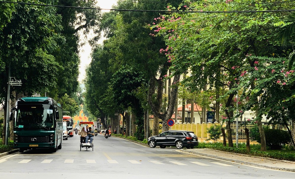 Hà Nội tháng Ba: Nhịp sống chậm giữa những sắc hoa giao mùa - Ảnh 1. Hà Nội tháng Ba: Nhịp sống chậm giữa những sắc hoa giao mùa - Ảnh 1.