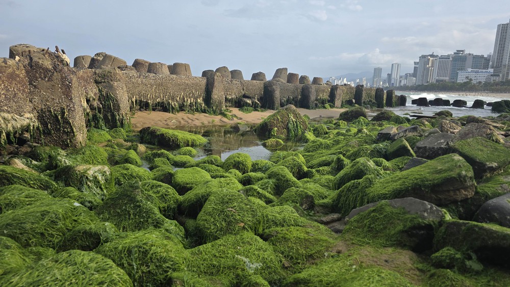 Du lịch Việt Nam 2026: Thích ứng để bứt phá - Ảnh 2.