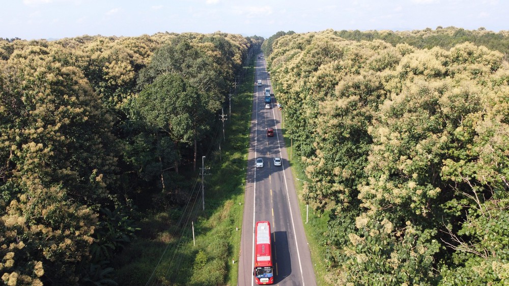 Trình Chính phủ hồ sơ Đề án thành lập thành phố Đồng Nai trực thuộc Trung ương trước ngày 4/4 - Ảnh 3.