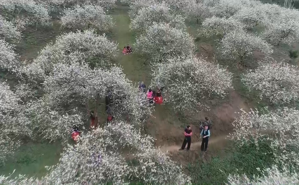 Du lịch Việt Nam 2026: Thích ứng để bứt phá - Ảnh 4.