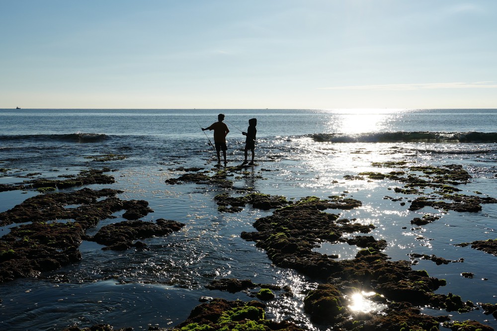 Trải nghiệm vẻ đẹp cánh đồng rong biển ở Khánh Hòa - Ảnh 1. Trải nghiệm vẻ đẹp cánh đồng rong biển ở Khánh Hòa - Ảnh 1.