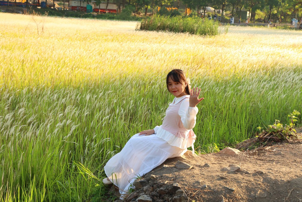 TP Hồ Chí Minh: Check-in cánh đồng cỏ lau săn Mặt Trời 'trứng muối' - Ảnh 5. TP Hồ Chí Minh: Check-in cánh đồng cỏ lau săn Mặt Trời 'trứng muối' - Ảnh 5.