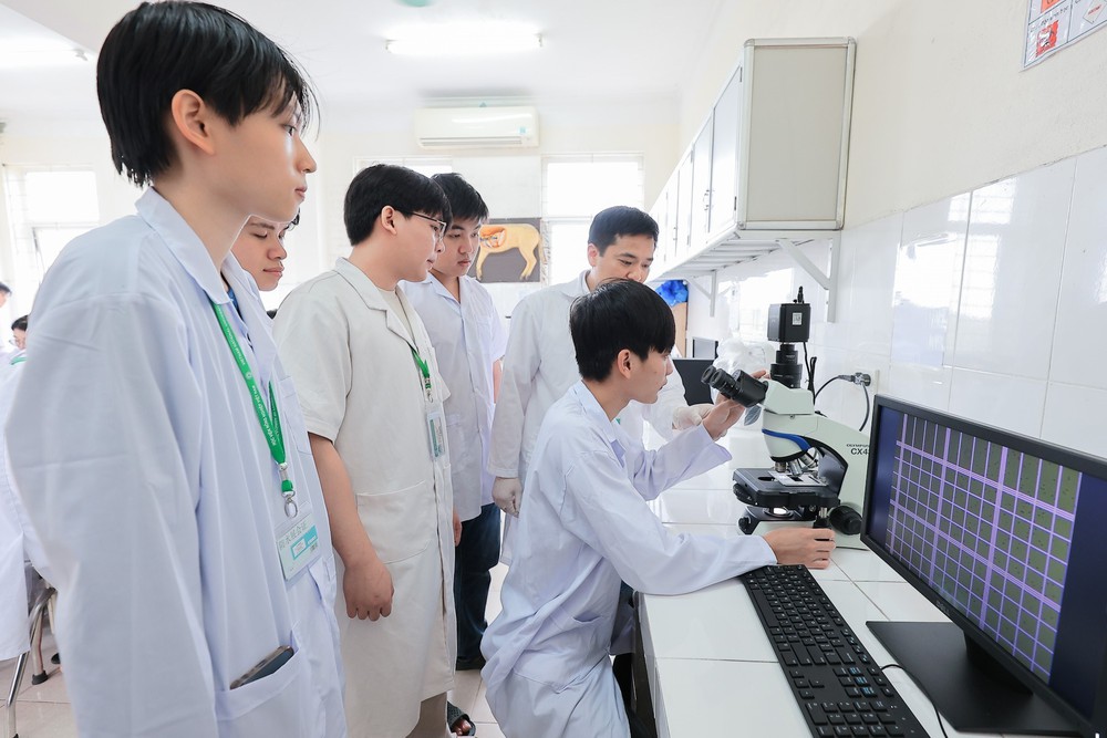 Phê duyệt Chương trình đào tạo, bồi dưỡng 10.000 giám đốc điều hành - Ảnh 2.