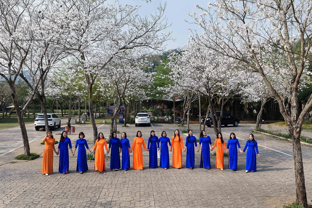 Hoa ban nở trắng níu chân du khách đến Sơn La - Ảnh 12.